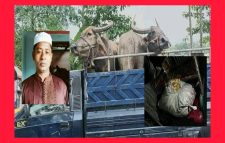 জৈন্তাপুর সীমান্তে প্রশাসনকে বৃদ্ধা আঙ্গুল দেখিয়ে লেপটিন শহিদের লক্ষ লক্ষ টাকার চাঁদাবাজি