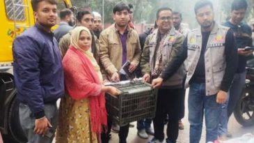 অভিযান চালিয়ে ৮টি বিপন্ন প্রজাতির মুখপোড়া হনুমান উদ্ধার ঠাঁই হলো সাফারি পার্কে