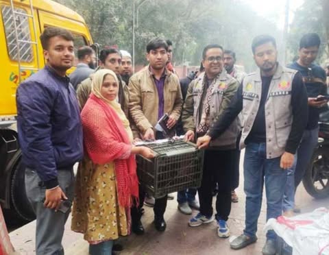 অভিযান চালিয়ে ৮টি বিপন্ন প্রজাতির মুখপোড়া হনুমান উদ্ধার ঠাঁই হলো সাফারি পার্কে