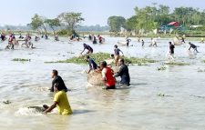 পুর্ব পুরুষদের রেখে যাওয়া ঐতিহ্য:  পলো বাওয়া উৎসব মেতেছেন গ্রামবাসী