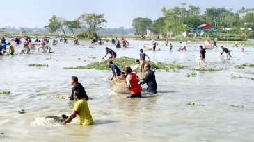 পুর্ব পুরুষদের রেখে যাওয়া ঐতিহ্য:  পলো বাওয়া উৎসব মেতেছেন গ্রামবাসী