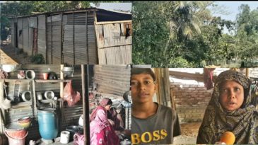 বিএনপি করায় আওয়ামী রোষানলে একটি পরিবার নিঃস্ব — হত্যা মামলায় তিন ভাইয়ের যাবজ্জীবন কারাদণ্ড