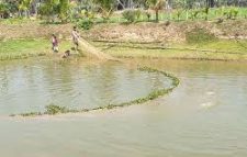 কানাইঘাটে সেওতচুরা জলমহাল বিতর্কিত সমিতিকে   ইজারা না দেয়ার আহবান মৎস্যজীবিদের