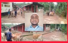 সিলেটের জৈন্তাপুর বাজারে বৈধ হয় ভারতীয় চোরাচালানের পশুর হাট