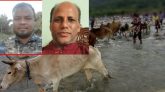 ভারতীয় অবৈধ গরু-মহিষ থেকে বিজিবি-পুলিশের নামে চাঁদা আদায়কারি কে এই গোলাম হোসেন
