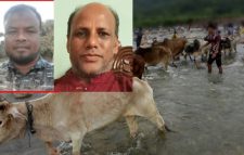 ভারতীয় অবৈধ গরু-মহিষ থেকে বিজিবি-পুলিশের নামে চাঁদা আদায়কারি কে এই গোলাম হোসেন