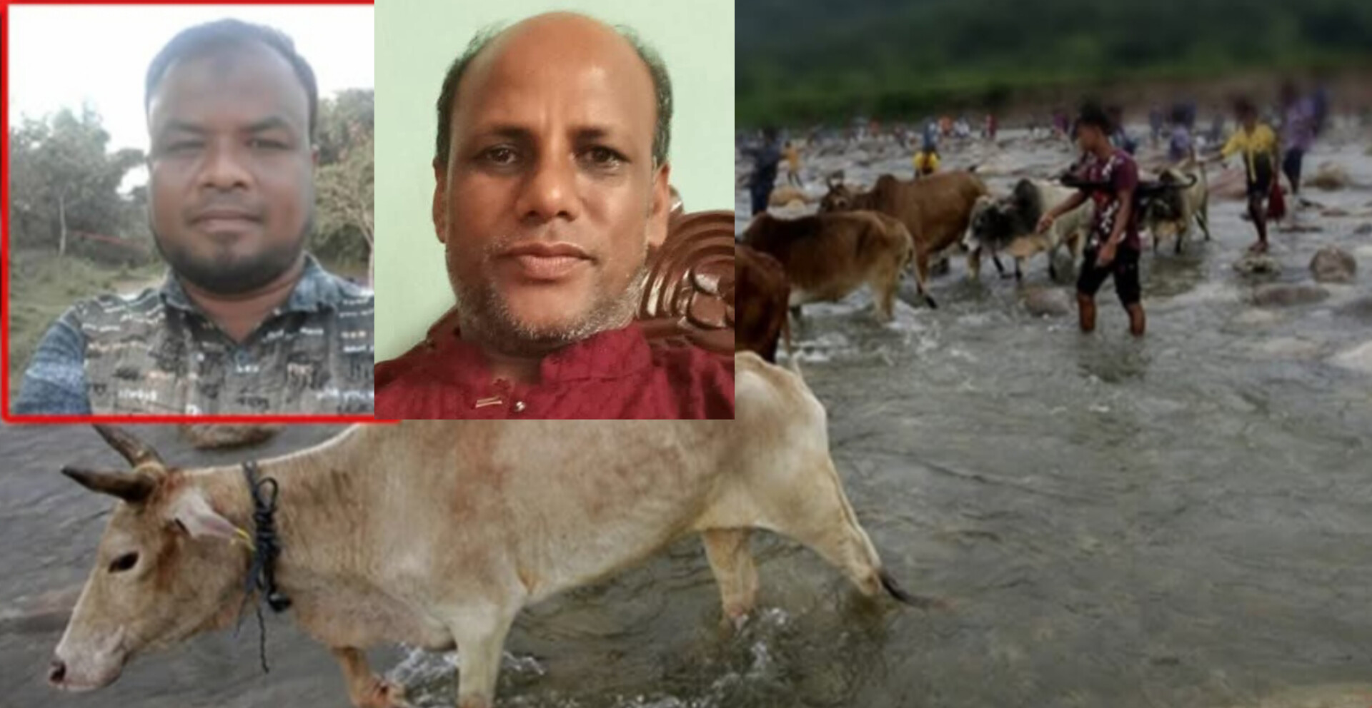 ভারতীয় অবৈধ গরু-মহিষ থেকে বিজিবি-পুলিশের নামে চাঁদা আদায়কারি কে এই গোলাম হোসেন