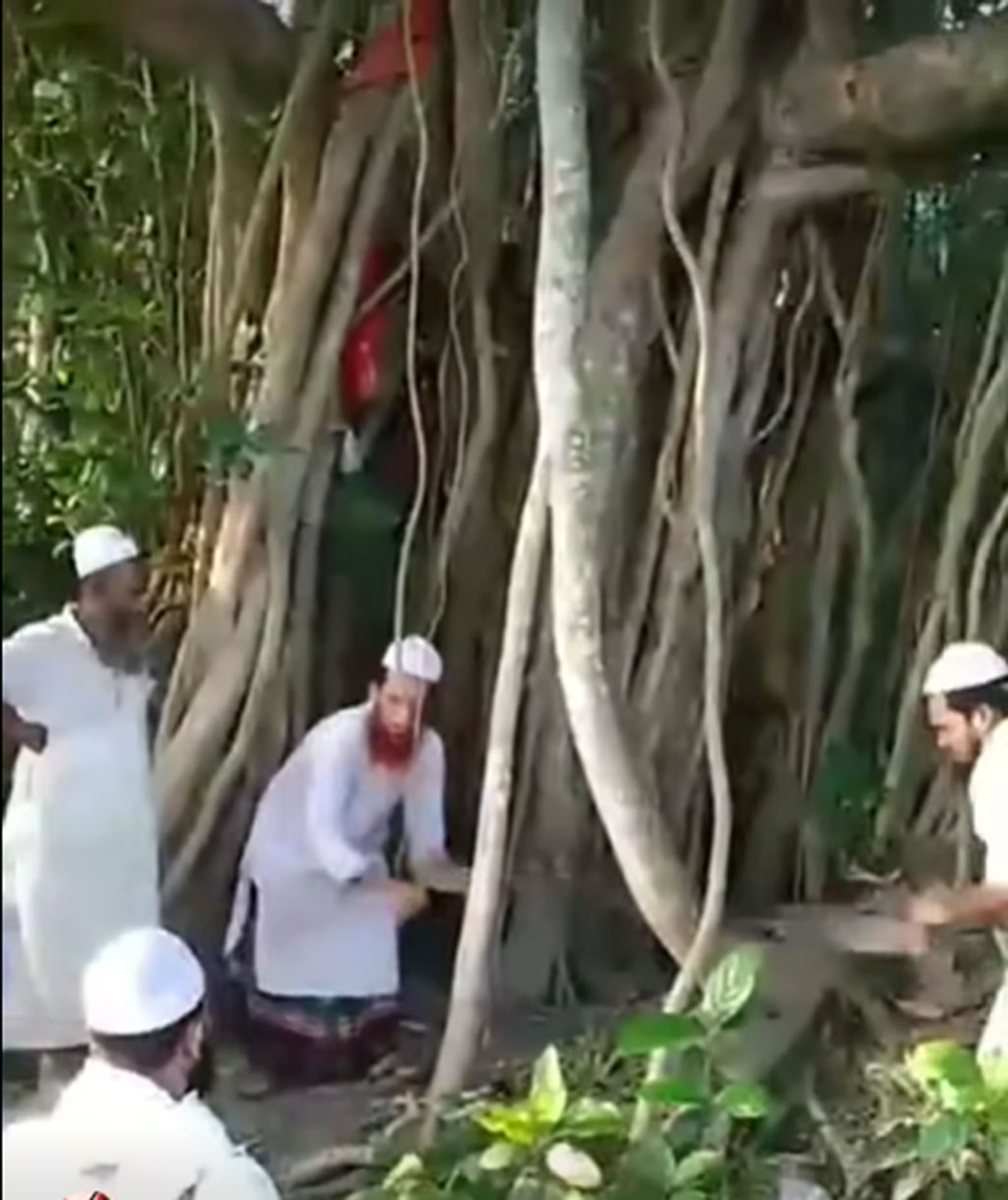 কাটা হলো শতবর্ষী বটগাছ