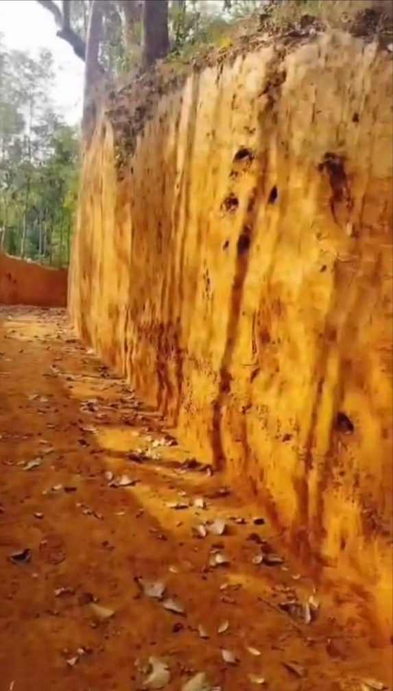 জুড়ীতে অবৈধভাবে টিলা কাটছে এক শ্রেণীর অসাধু ব্যক্তিরা