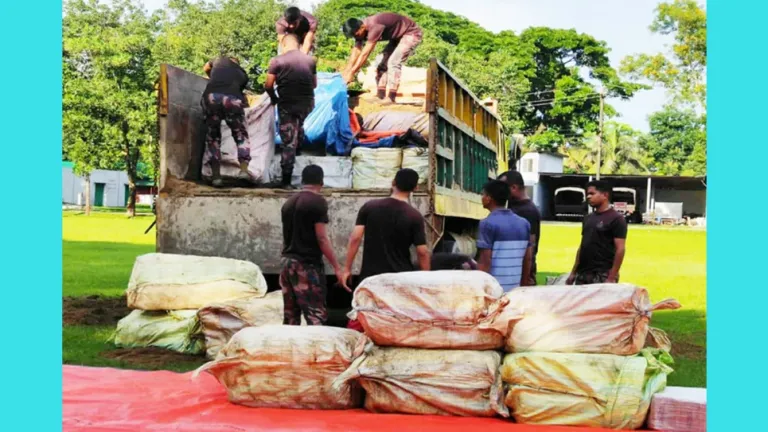 ট্রাকে বালুর নিচে লুকানো ৩ কোটি টাকার ভারতীয় কসমেটিকস উদ্ধার
