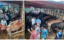 মহানগরে জমজমাট হয়ে উঠেছে পশুর হাট