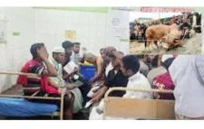 পশু জবাইয়ের সময় দুর্ঘটনায় ৮০ জন আহত