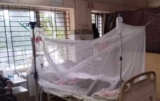 দেশে ডেঙ্গুতে আরও ২ জনের মৃত্যু