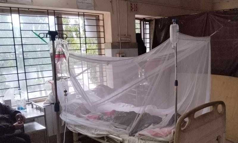 দেশে ডেঙ্গুতে আরও ২ জনের মৃত্যু