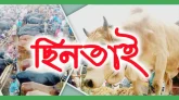 গরুর হাট থেকে ছিনতাইয়ের অভিযোগ
