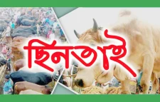 গরুর হাট থেকে ছিনতাইয়ের অভিযোগ