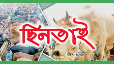 গরুর হাট থেকে ছিনতাইয়ের অভিযোগ