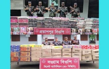 সিলেট সীমান্তে চোরাচালানি পণ্য জব্দ