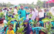 ৪ হাজার শিক্ষার্থী পেল ৪ হাজার গাছের চারা