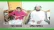 জমি দখলের অভিযোগ উঠেছে নছিব মোল্লার বিরুদ্ধে