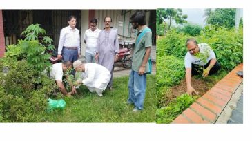 রাজশাহীর ২২ নং ওয়ার্ড কাউন্সিলর পদপ্রার্থী জাবেদ আলীর বৃক্ষরোপ-লিফলেট বিতরণ