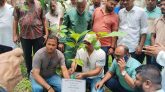 জুলাই গণ-অভ্যুত্থানে শহীদদের স্বরণে মেহেন্দিগঞ্জ বিএনপির বৃক্ষ রোপণ কর্মসূচি