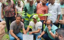 জুলাই গণ-অভ্যুত্থানে শহীদদের স্বরণে মেহেন্দিগঞ্জ বিএনপির বৃক্ষ রোপণ কর্মসূচি