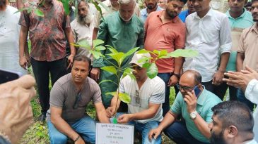 জুলাই গণ-অভ্যুত্থানে শহীদদের স্বরণে মেহেন্দিগঞ্জ বিএনপির বৃক্ষ রোপণ কর্মসূচি