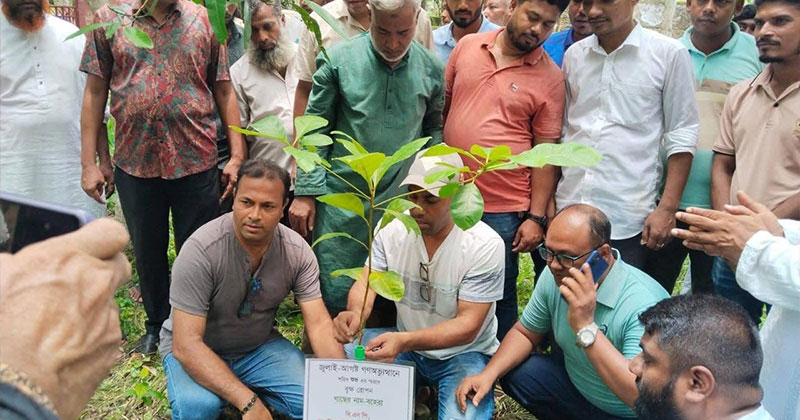 জুলাই গণ-অভ্যুত্থানে শহীদদের স্বরণে মেহেন্দিগঞ্জ বিএনপির বৃক্ষ রোপণ কর্মসূচি