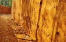 জুড়ীতে অবৈধভাবে টিলা কাটার অভিযোগ