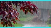 ৩ দিন ব্যাপী ভারি বৃষ্টিপাতের পূর্বাভাস