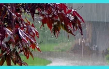 ৩ দিন ব্যাপী ভারি বৃষ্টিপাতের পূর্বাভাস