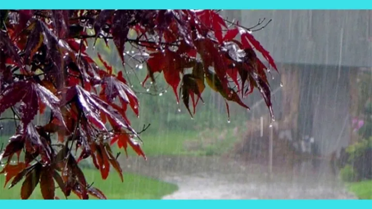 ৩ দিন ব্যাপী ভারি বৃষ্টিপাতের পূর্বাভাস