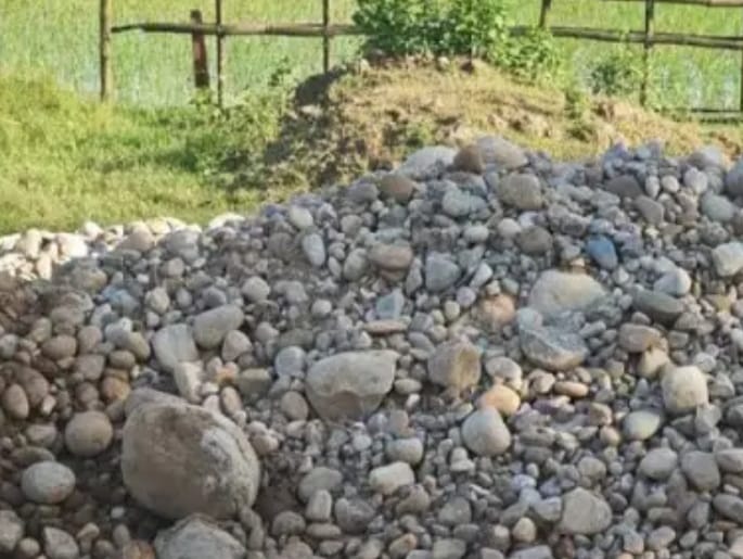 সিলেটে ধান ক্ষেতে সাদা পাথর