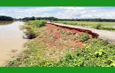 নদীর ভাঙনে বিয়ানীবাজার উপজেলার বিস্তৃর্ন এলাকা বিলীন