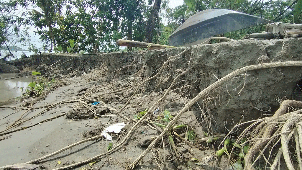 সুগন্ধা ভাঙছে দশ গ্রাম নিয়ে