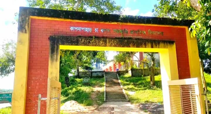 জুড়ীতে সরকারি প্রাথমিক বিদ্যালয়গুলোতে শিক্ষকদের দায়িত্বহীনতার চিত্র ধরা পড়েছে