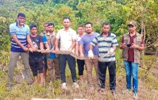 রাঙামাটির কাপ্তাই জাতীয় উদ্যান এলাকায় ৮ ফুট লম্বা অজগর সাপ অবমুক্ত