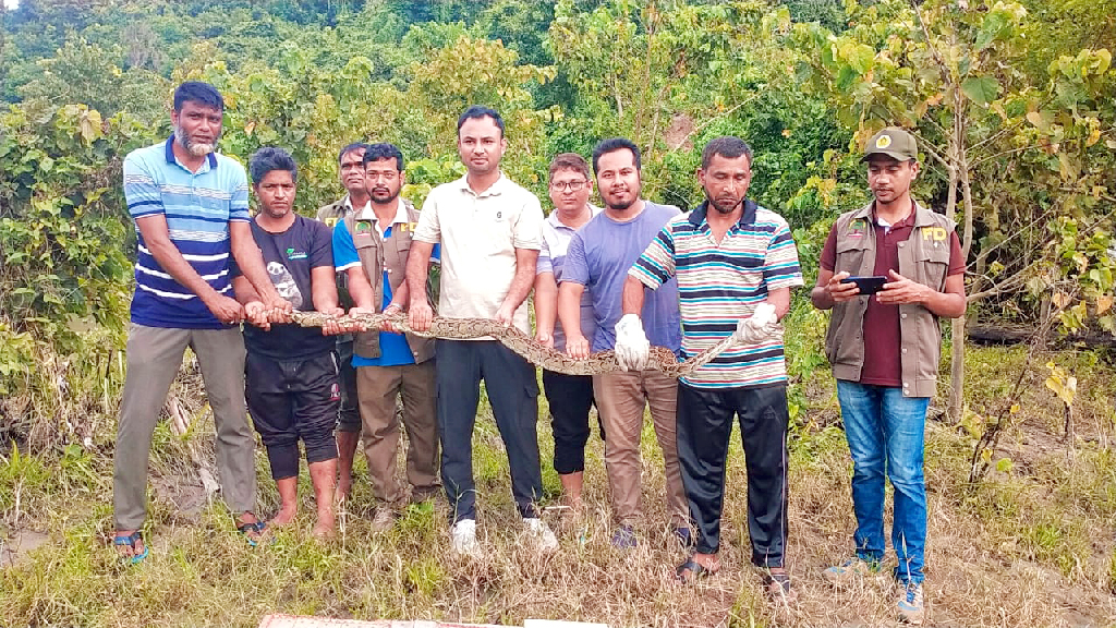 রাঙামাটির কাপ্তাই জাতীয় উদ্যান এলাকায় ৮ ফুট লম্বা অজগর সাপ অবমুক্ত