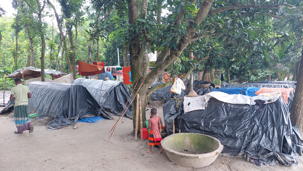 ঝালকাঠির দুর্গাপুরে শূকর বিক্রির টাকার ভাগ নিয়ে গ্রাম্য মাতব্বর অবরুদ্ধের হুমকি