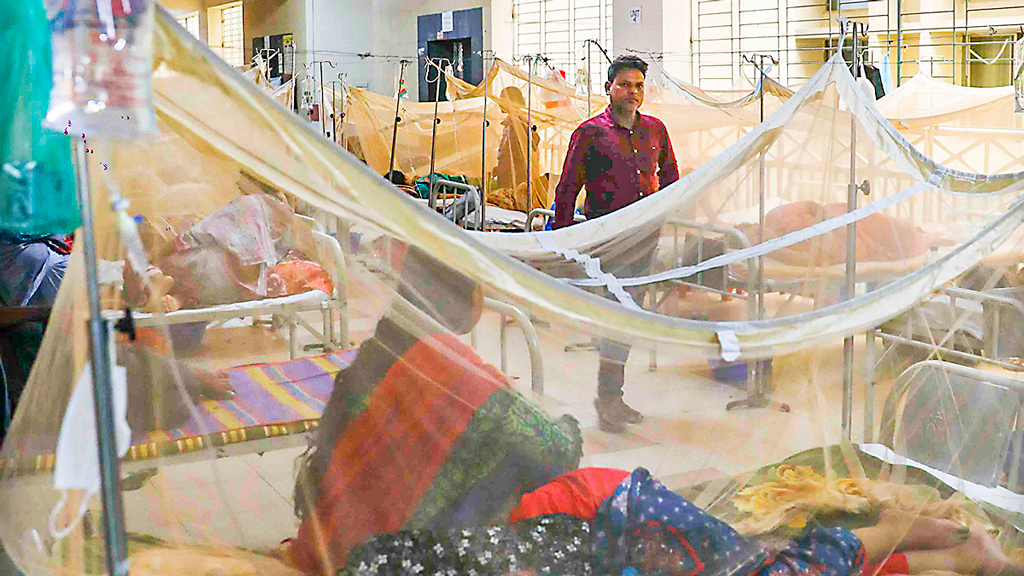 দেশে ডেঙ্গুতে আবারও মৃত্যু বেড়েছে