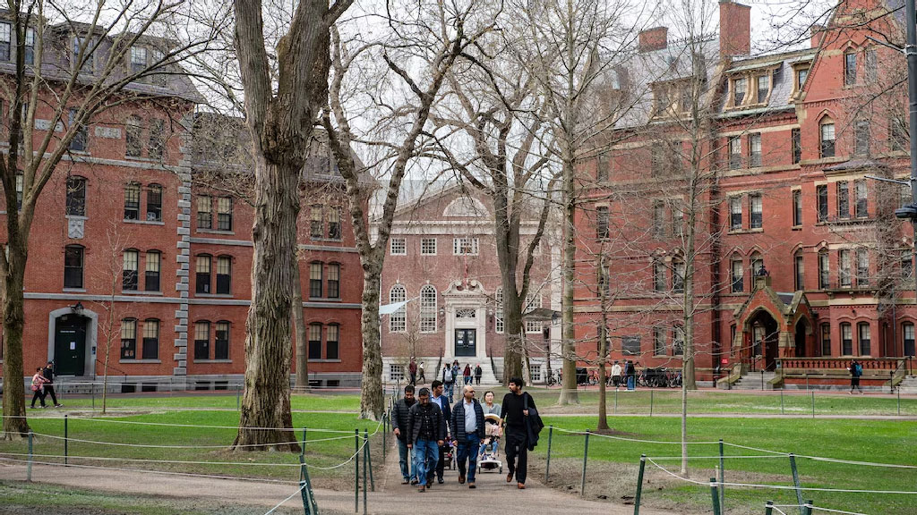 হার্ভার্ডের সঙ্গে বড় চুক্তির দাবি ট্রাম্পের