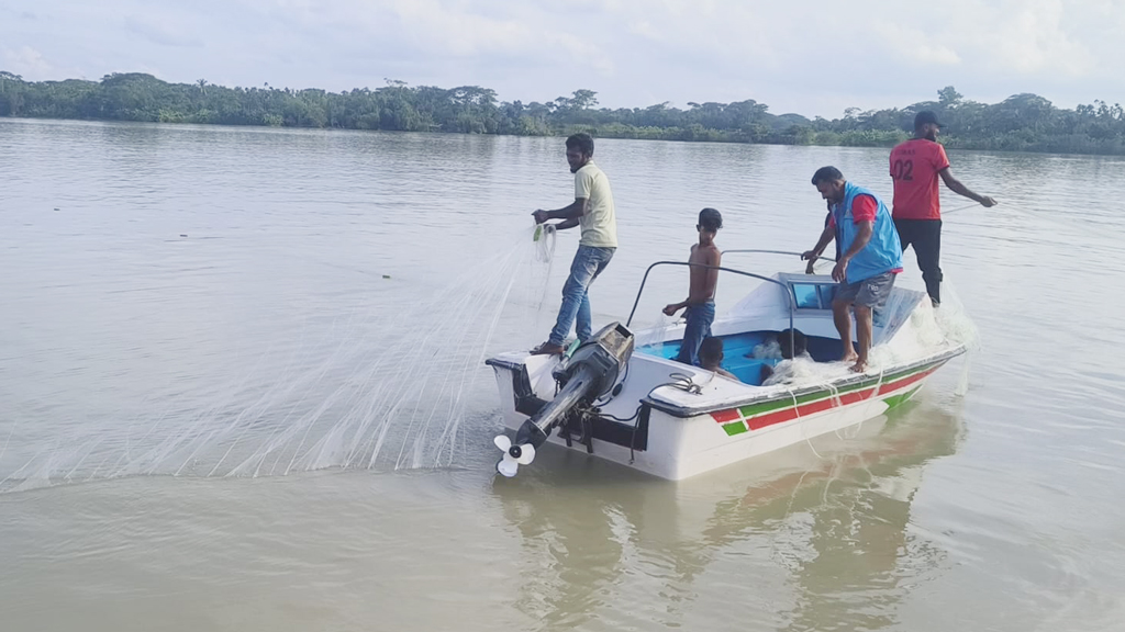 বরিশালের বাবুগঞ্জে ইলিশ জাল বিতর্কে গ্রামাঞ্চলে সংঘর্ষ, চারজন আহত