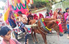 ঘোড়ার গাড়িতে করে বউ আনলেন মাগুরার তপু শেখ