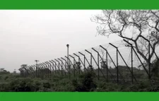 চুয়াডাঙ্গা সীমান্তে বাংলাদেশি যুবককে ধরে নিয়ে গেল বিএসএফ