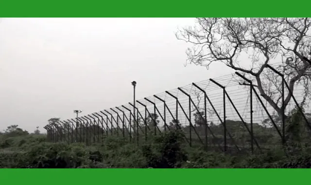 চুয়াডাঙ্গা সীমান্তে বাংলাদেশি যুবককে ধরে নিয়ে গেল বিএসএফ