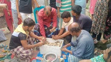 সিরাজগঞ্জের ‘সালে পাগলী’ মারা গেছেন