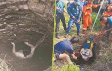 সাপ–মশাভর্তি কূপে ৫৪ ঘণ্টা আটকে থেকে প্রাণে বাঁচলেন চীনা নারী
