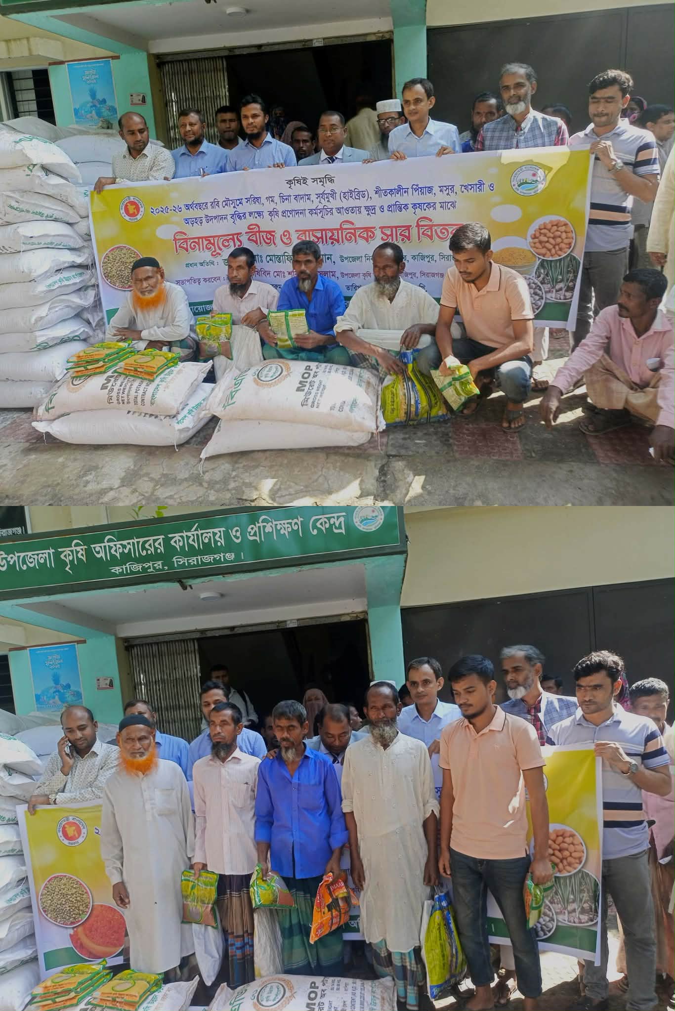 কাজিপুরে ক্ষুদ্র ও প্রান্তিক কৃষকদের মাঝে বিনামূল্যে সরিষা বীজ ও সার বিতরণ