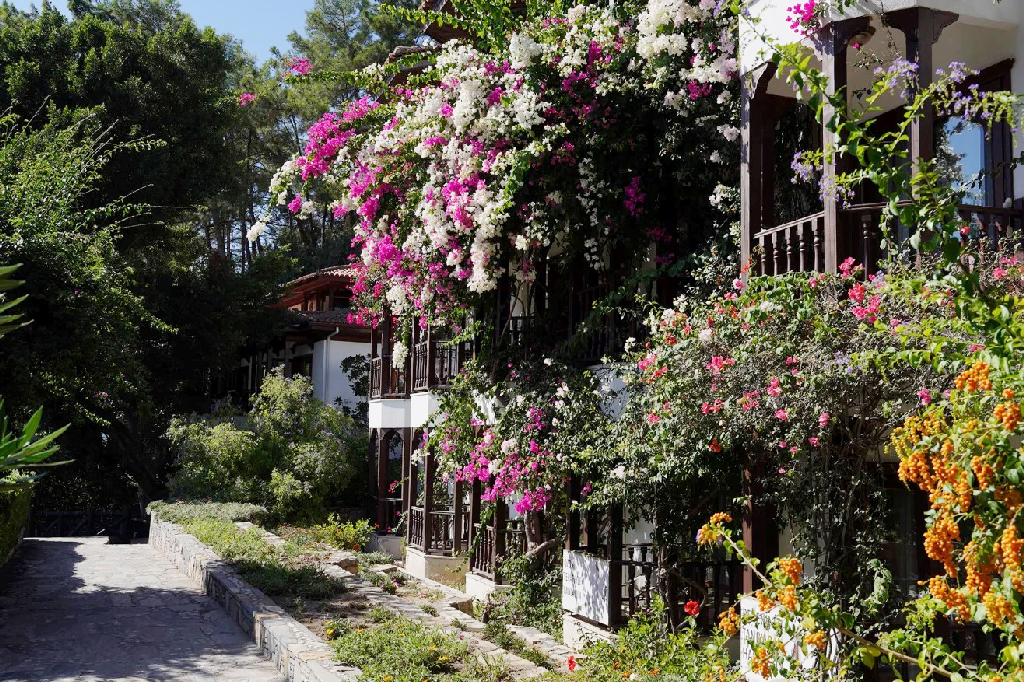 কবির দূরদৃষ্টিতে কংক্রিটের দখল থেকে রক্ষা পেল তুরস্কের আকিয়াকা গ্রাম